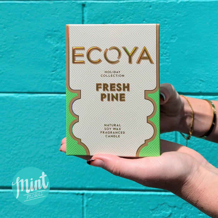 Ecoya Holiday Collection Limited Edition - FRESH PINE Large Goldie Candle