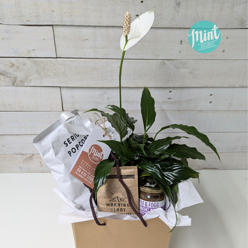 Caffeine Fix Botanical Gift Bag