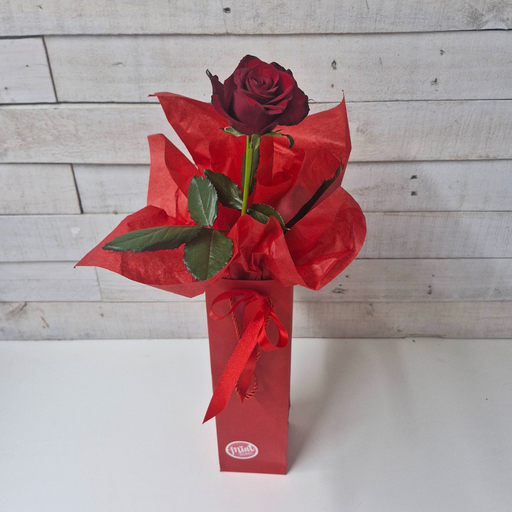 'ONE LOVE' Romantic Red Wrapped Rose