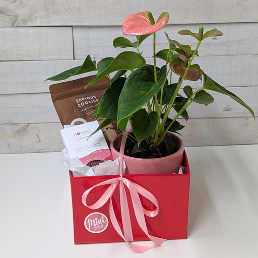 'GROWING LOVE' Gift Box